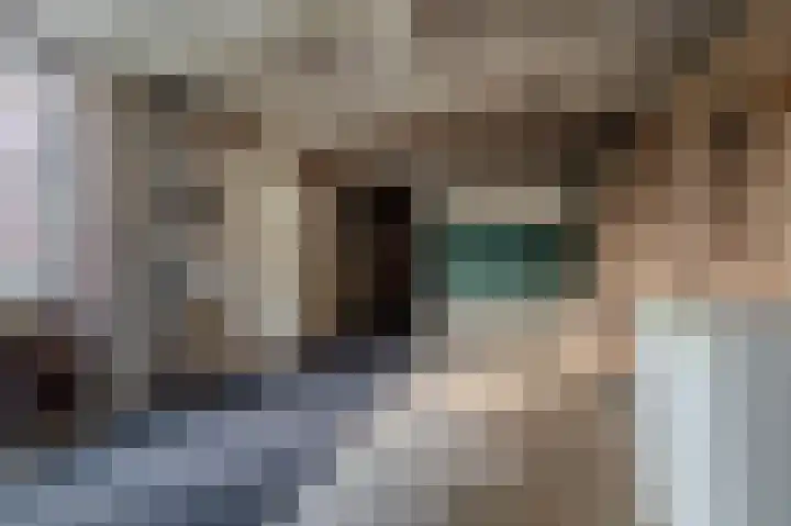 Johannes Vermeerlaan 1 Nieuwe Pekela thumbnail 36