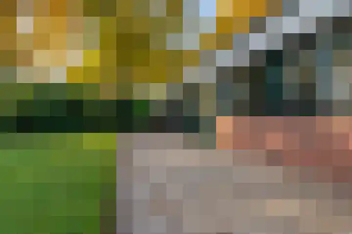 Johannes Vermeerlaan 1 Nieuwe Pekela thumbnail 9