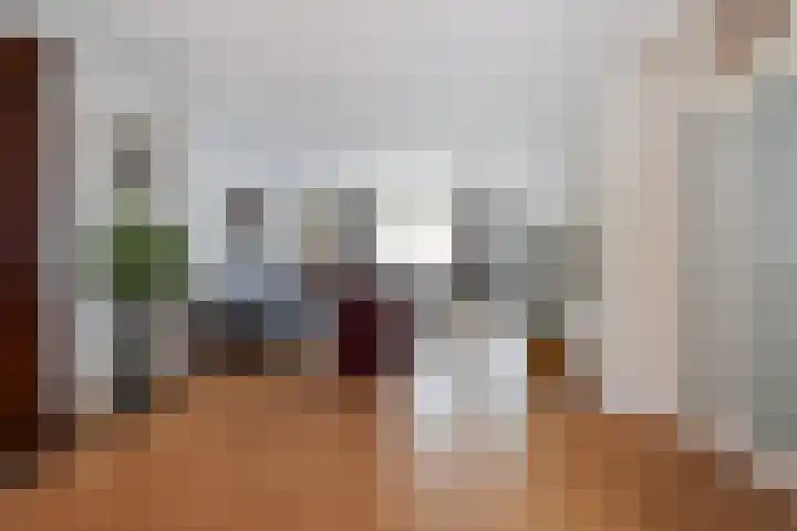 Johannes Vermeerlaan 12 Waalwijk thumbnail 11