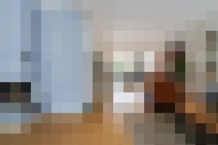 Johannes Vermeerlaan 12 Waalwijk thumbnail 15