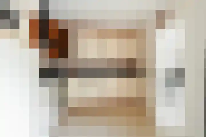 Johannes Vermeerlaan 12 Waalwijk thumbnail 18