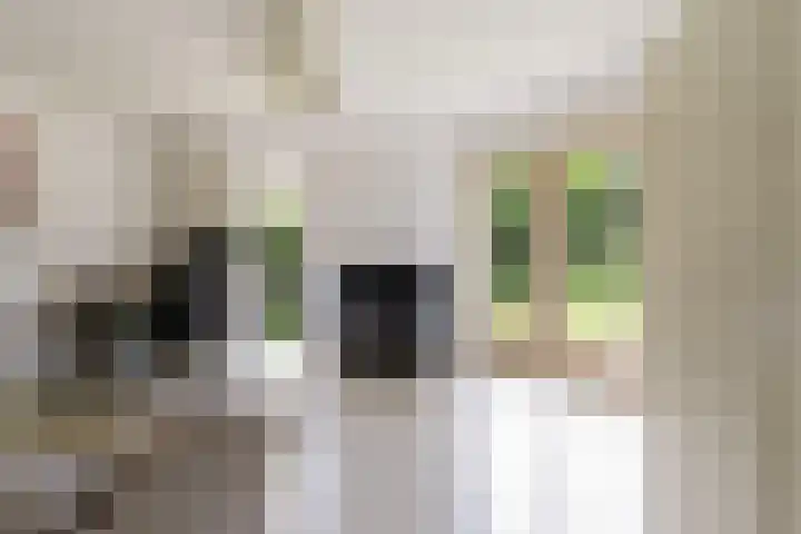 Johannes Vermeerlaan 12 Waalwijk thumbnail 19