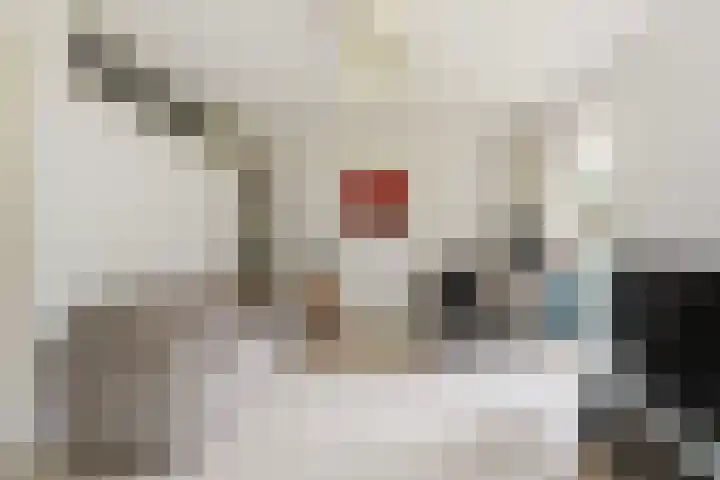 Johannes Vermeerlaan 12 Waalwijk thumbnail 21