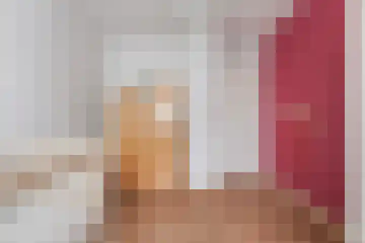 Johannes Vermeerlaan 12 Waalwijk thumbnail 26