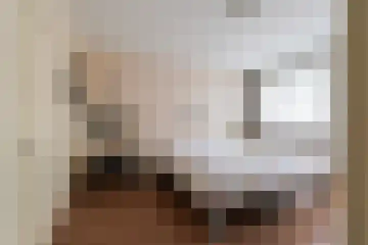 Johannes Vermeerlaan 12 Waalwijk thumbnail 27