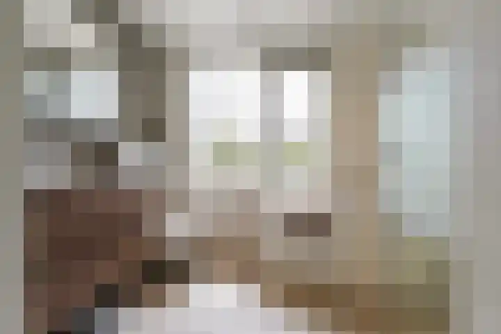 Johannes Vermeerlaan 12 Waalwijk thumbnail 29