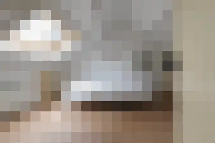 Johannes Vermeerlaan 12 Waalwijk thumbnail 34