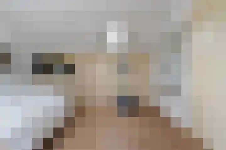 Johannes Vermeerlaan 12 Waalwijk thumbnail 36