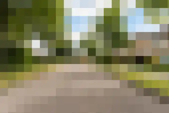 Johannes Vermeerlaan 12 Waalwijk thumbnail 4