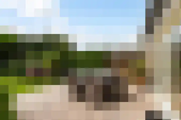 Johannes Vermeerlaan 12 Waalwijk thumbnail 40