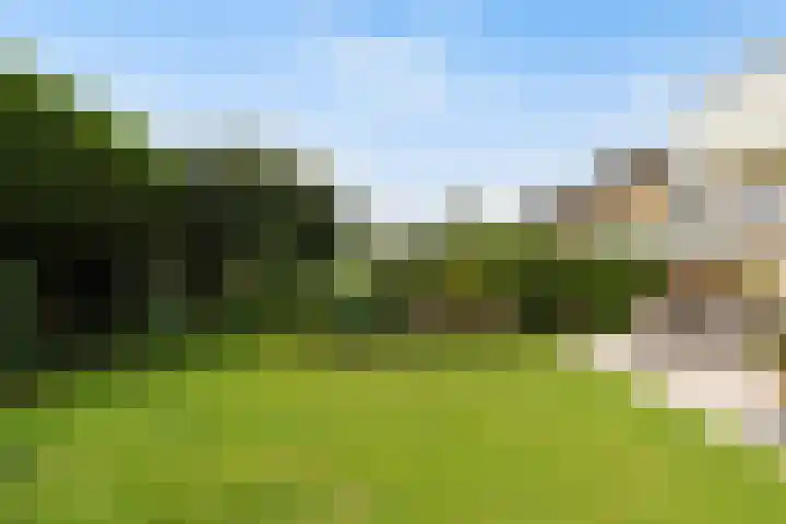 Johannes Vermeerlaan 12 Waalwijk thumbnail 43
