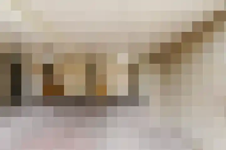 Johannes Vermeerlaan 12 Waalwijk thumbnail 6