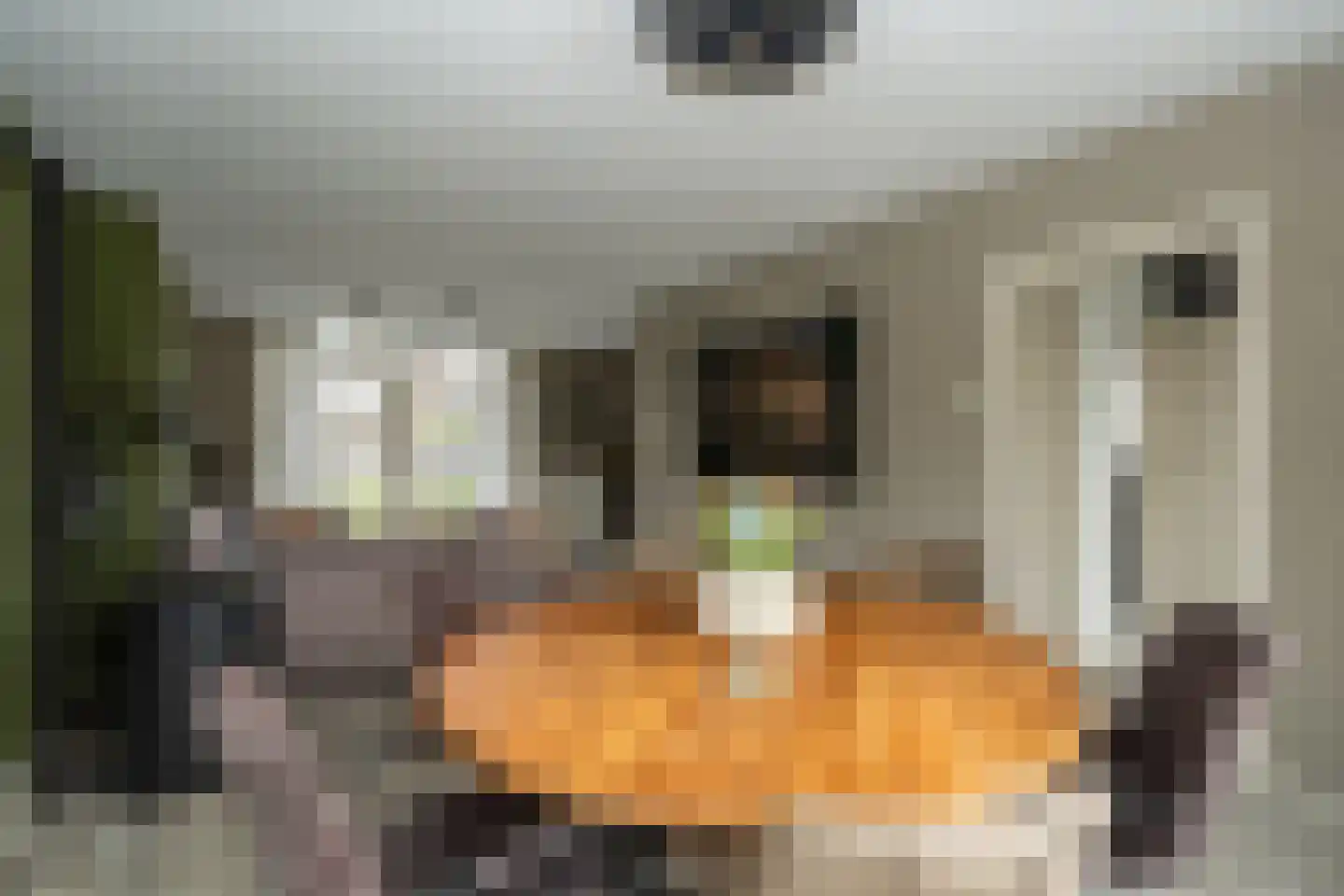 Johannes Vermeerlaan 15 Musselkanaal thumbnail 10