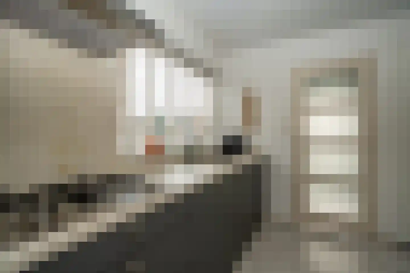 Johannes Vermeerlaan 15 Musselkanaal thumbnail 14