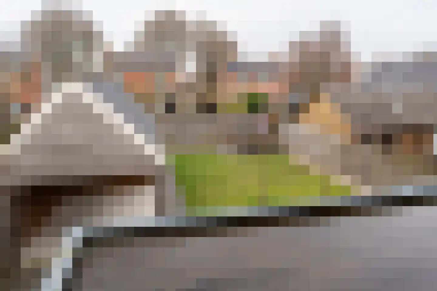 Johannes Vermeerlaan 15 Musselkanaal thumbnail 26