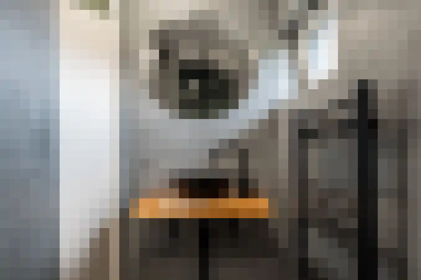 Johannes Vermeerlaan 15 Musselkanaal thumbnail 29
