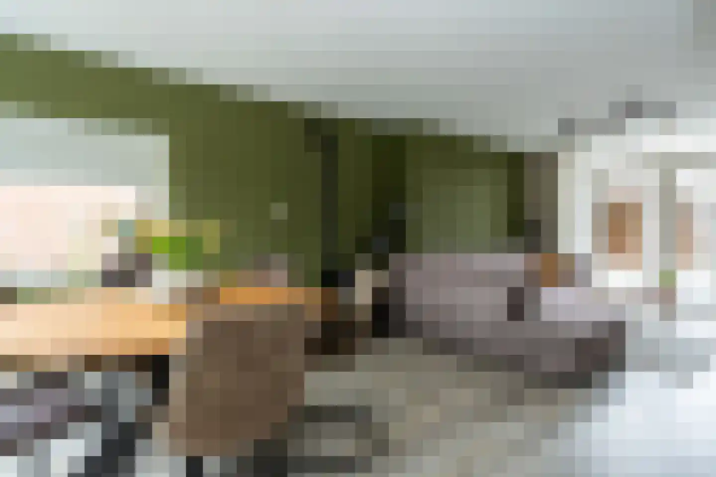 Johannes Vermeerlaan 15 Musselkanaal thumbnail 6
