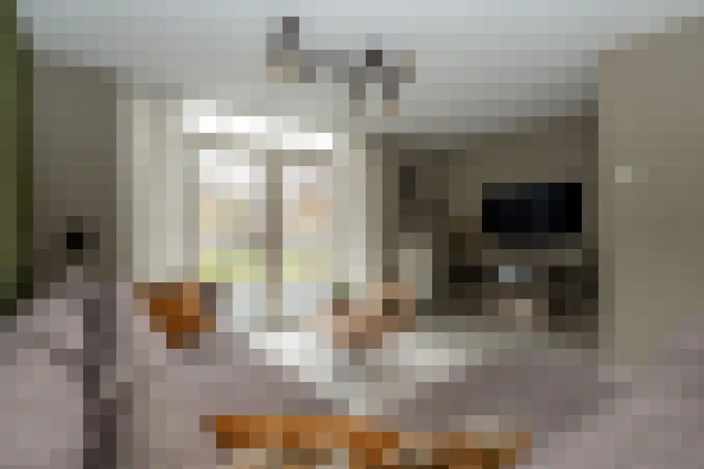 Johannes Vermeerlaan 15 Musselkanaal thumbnail 7