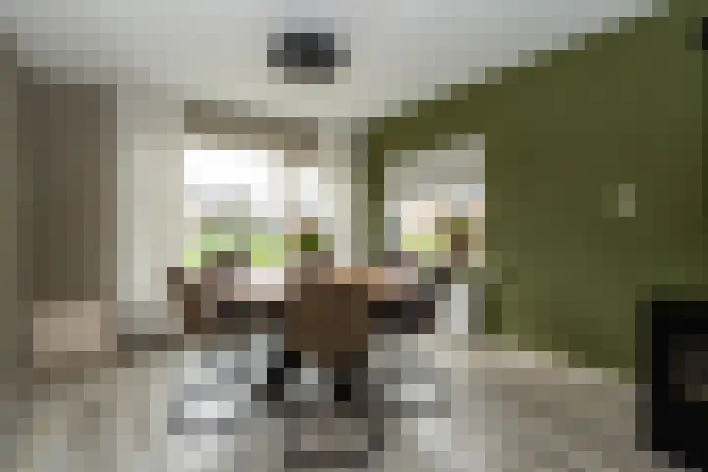 Johannes Vermeerlaan 15 Musselkanaal thumbnail 8