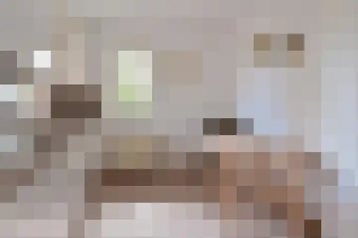 Johannes Vermeerlaan 16 Huizen thumbnail 10