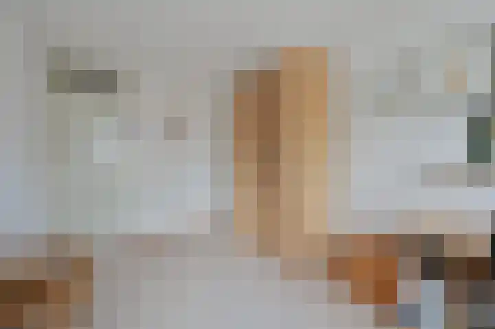 Johannes Vermeerlaan 16 Huizen thumbnail 17