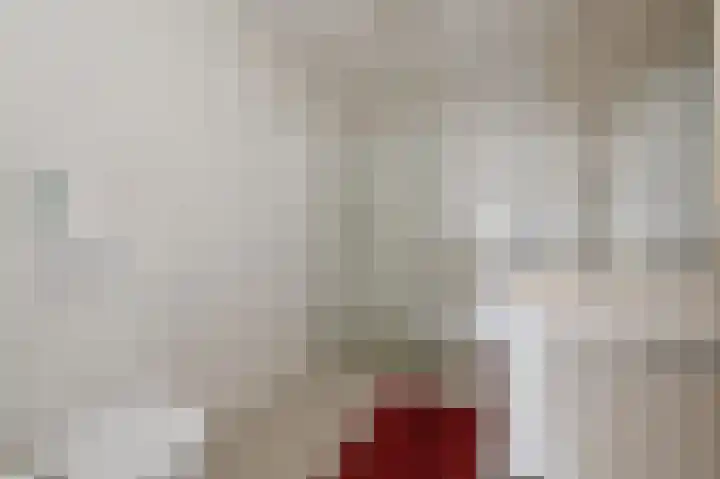 Johannes Vermeerlaan 16 Huizen thumbnail 19