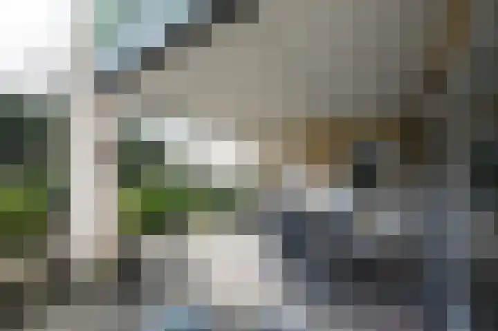 Johannes Vermeerlaan 16 Huizen thumbnail 21