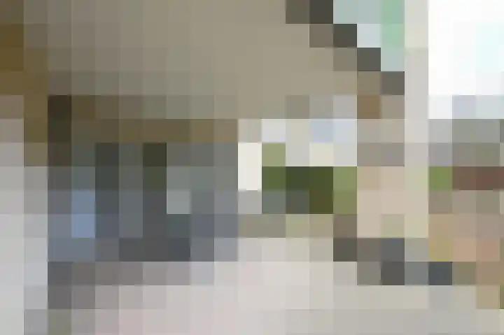 Johannes Vermeerlaan 16 Huizen thumbnail 22