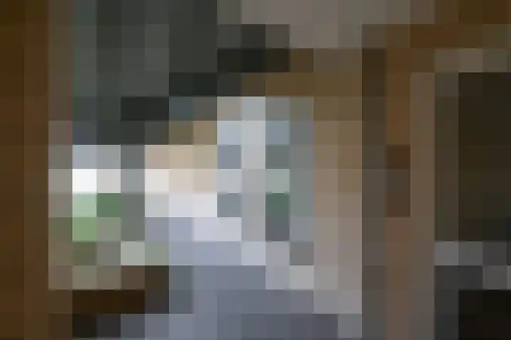 Johannes Vermeerlaan 16 Huizen thumbnail 29