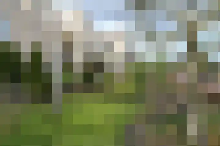 Johannes Vermeerlaan 16 Huizen thumbnail 31