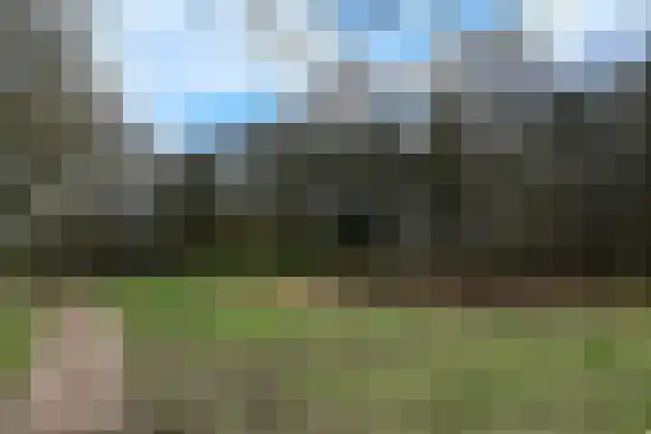 Johannes Vermeerlaan 16 Huizen thumbnail 34