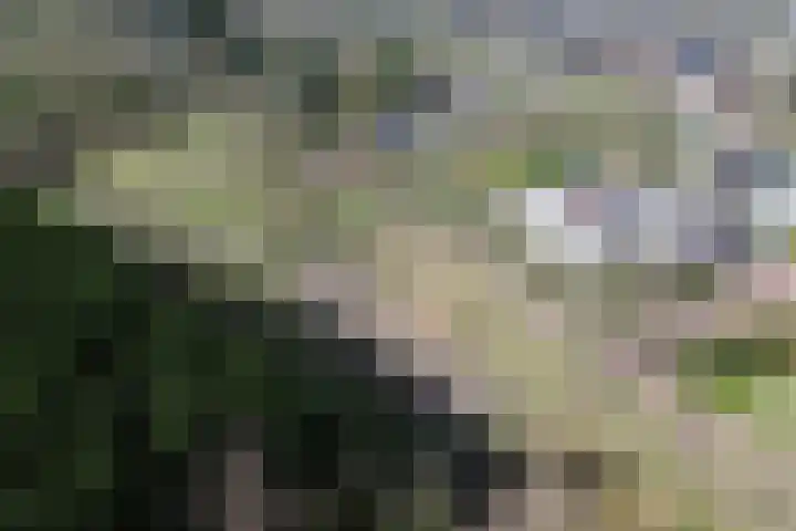 Johannes Vermeerlaan 16 Huizen thumbnail 35