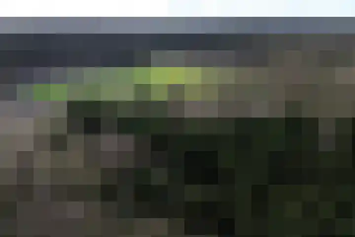 Johannes Vermeerlaan 16 Huizen thumbnail 36