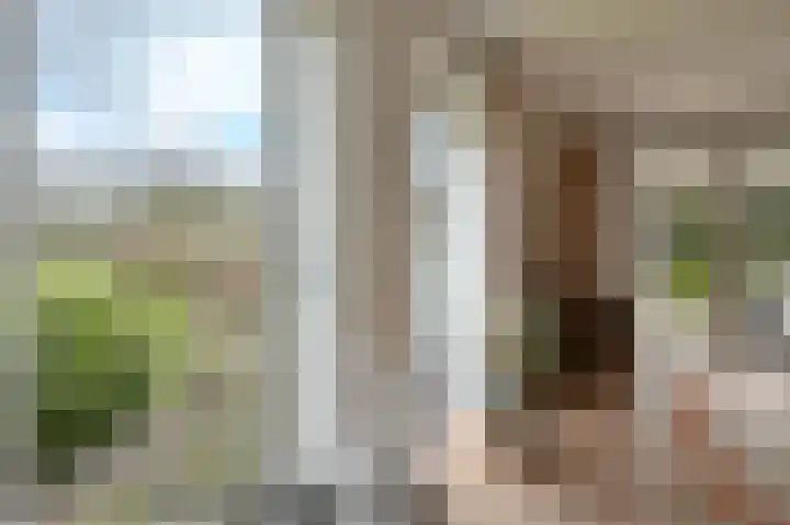 Johannes Vermeerlaan 16 Huizen thumbnail 6