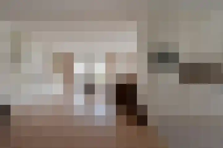 Johannes Vermeerlaan 16 Huizen thumbnail 8