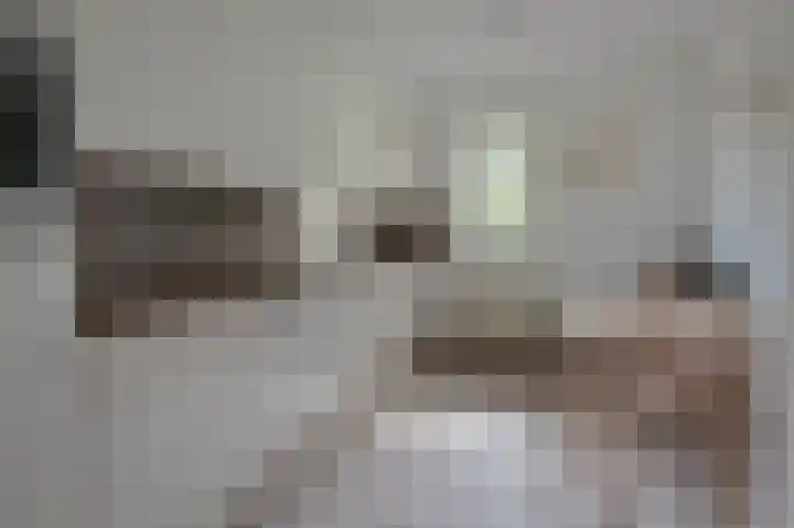 Johannes Vermeerlaan 16 Huizen thumbnail 9