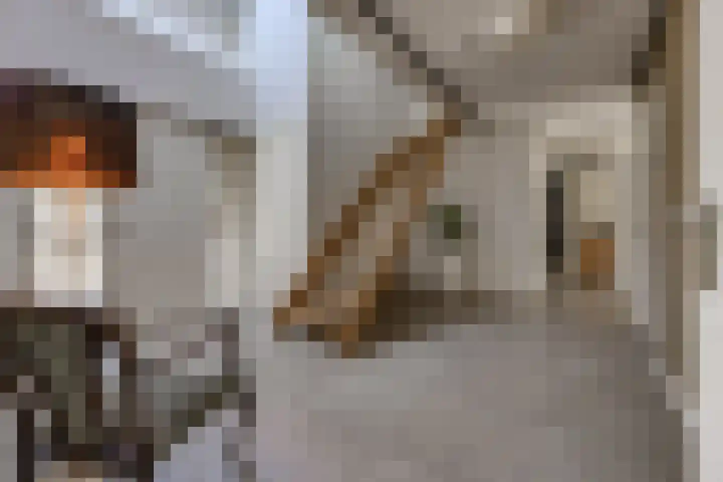 Johannes Vermeerlaan 16 Musselkanaal thumbnail 10