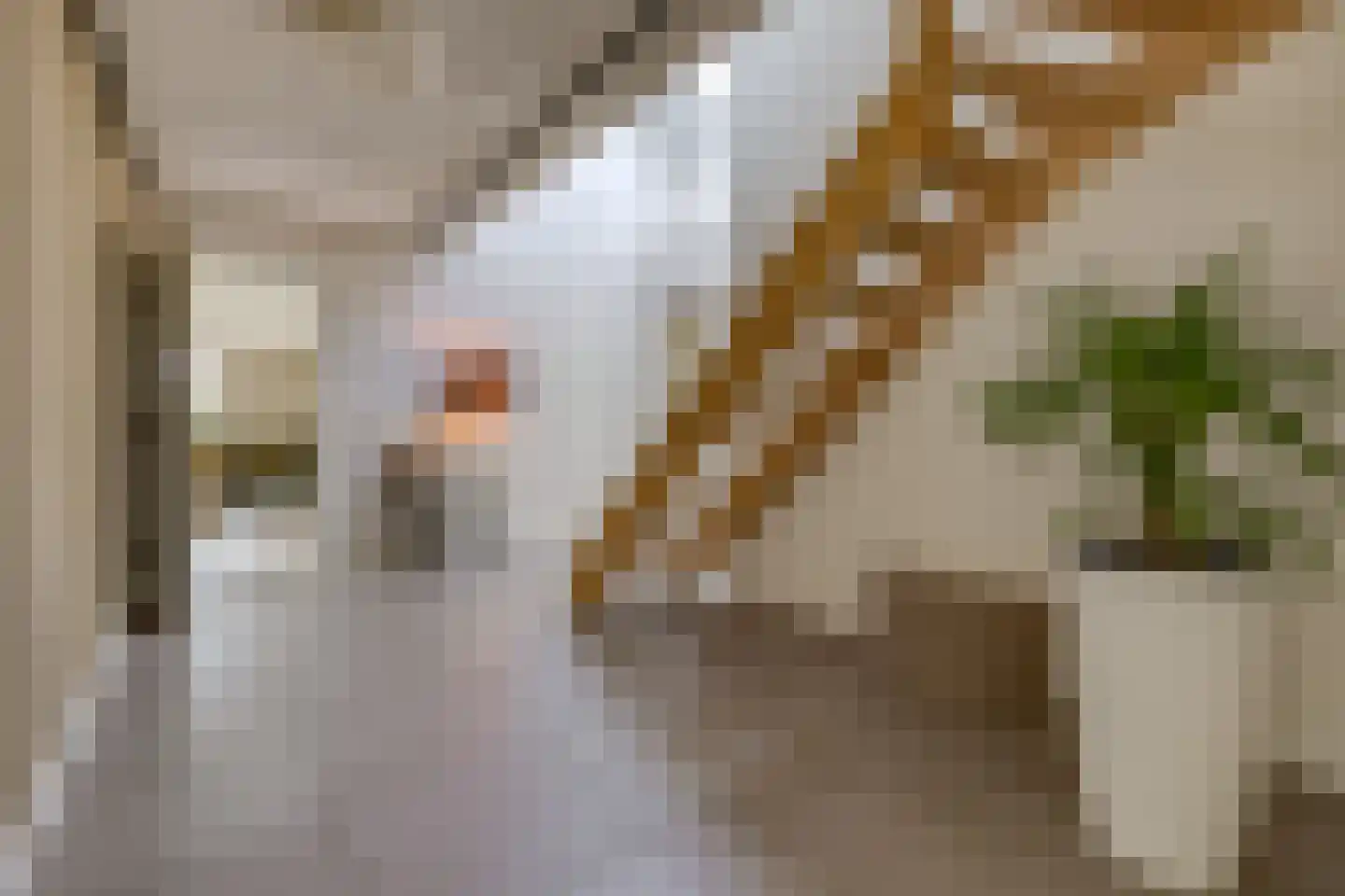 Johannes Vermeerlaan 16 Musselkanaal thumbnail 11