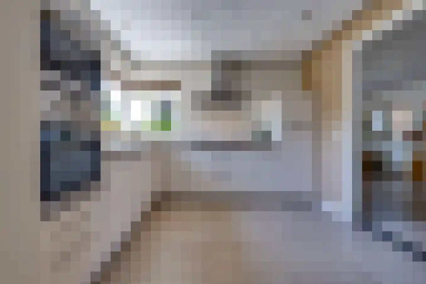 Johannes Vermeerlaan 16 Musselkanaal thumbnail 17