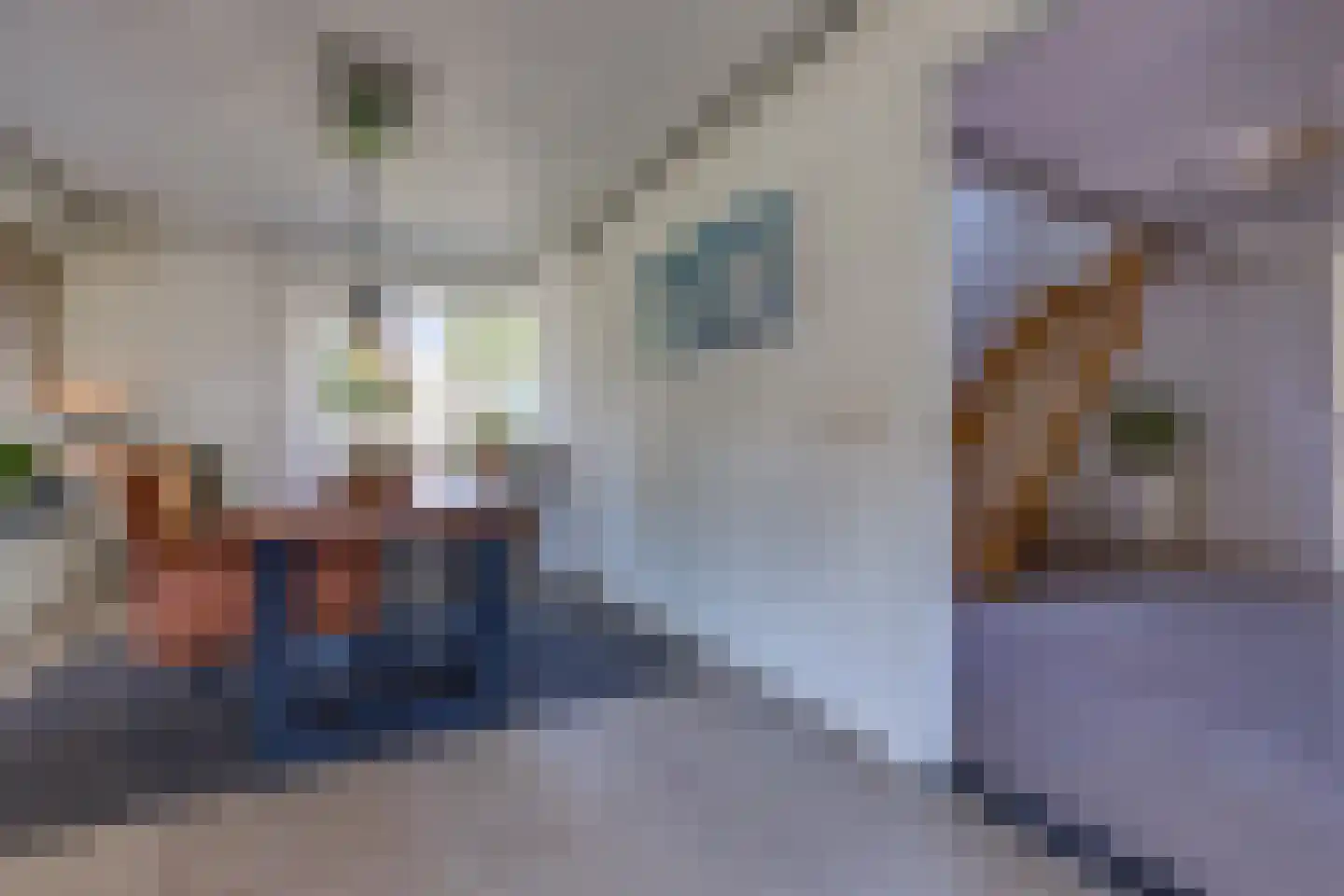 Johannes Vermeerlaan 16 Musselkanaal thumbnail 19