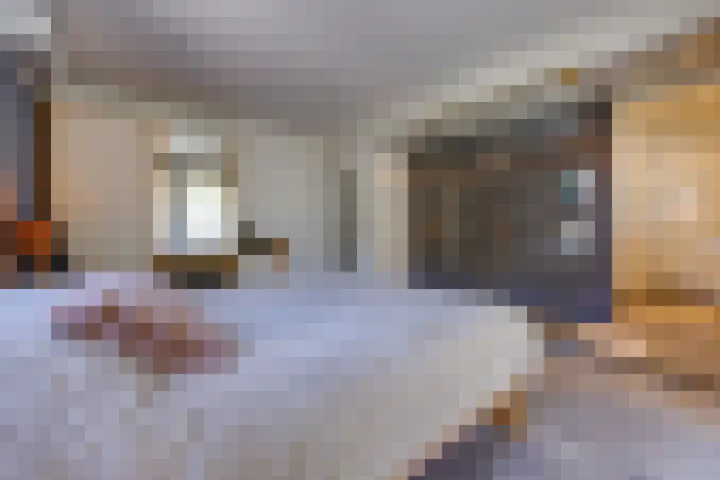 Johannes Vermeerlaan 16 Musselkanaal thumbnail 22