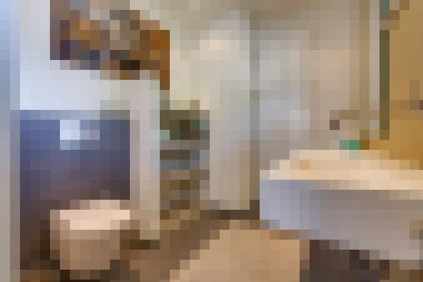 Johannes Vermeerlaan 16 Musselkanaal thumbnail 24