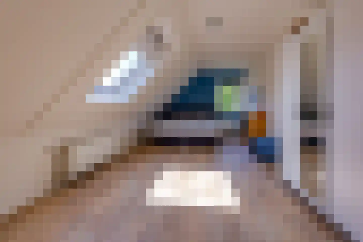 Johannes Vermeerlaan 16 Musselkanaal thumbnail 31