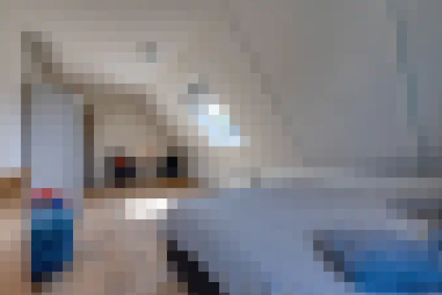 Johannes Vermeerlaan 16 Musselkanaal thumbnail 32