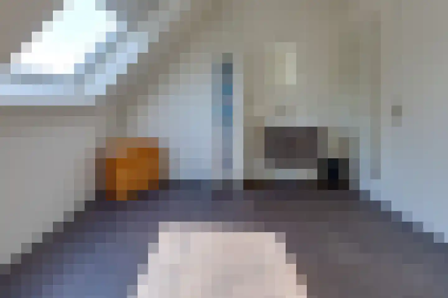 Johannes Vermeerlaan 16 Musselkanaal thumbnail 38