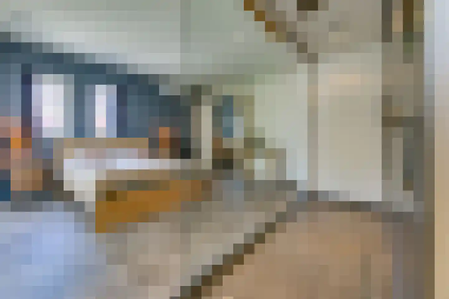 Johannes Vermeerlaan 16 Musselkanaal thumbnail 4