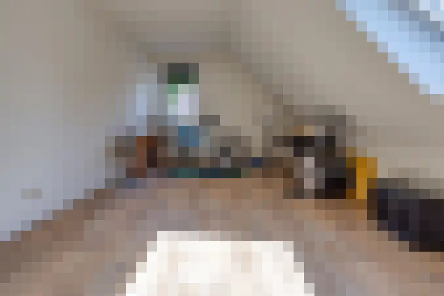Johannes Vermeerlaan 16 Musselkanaal thumbnail 40