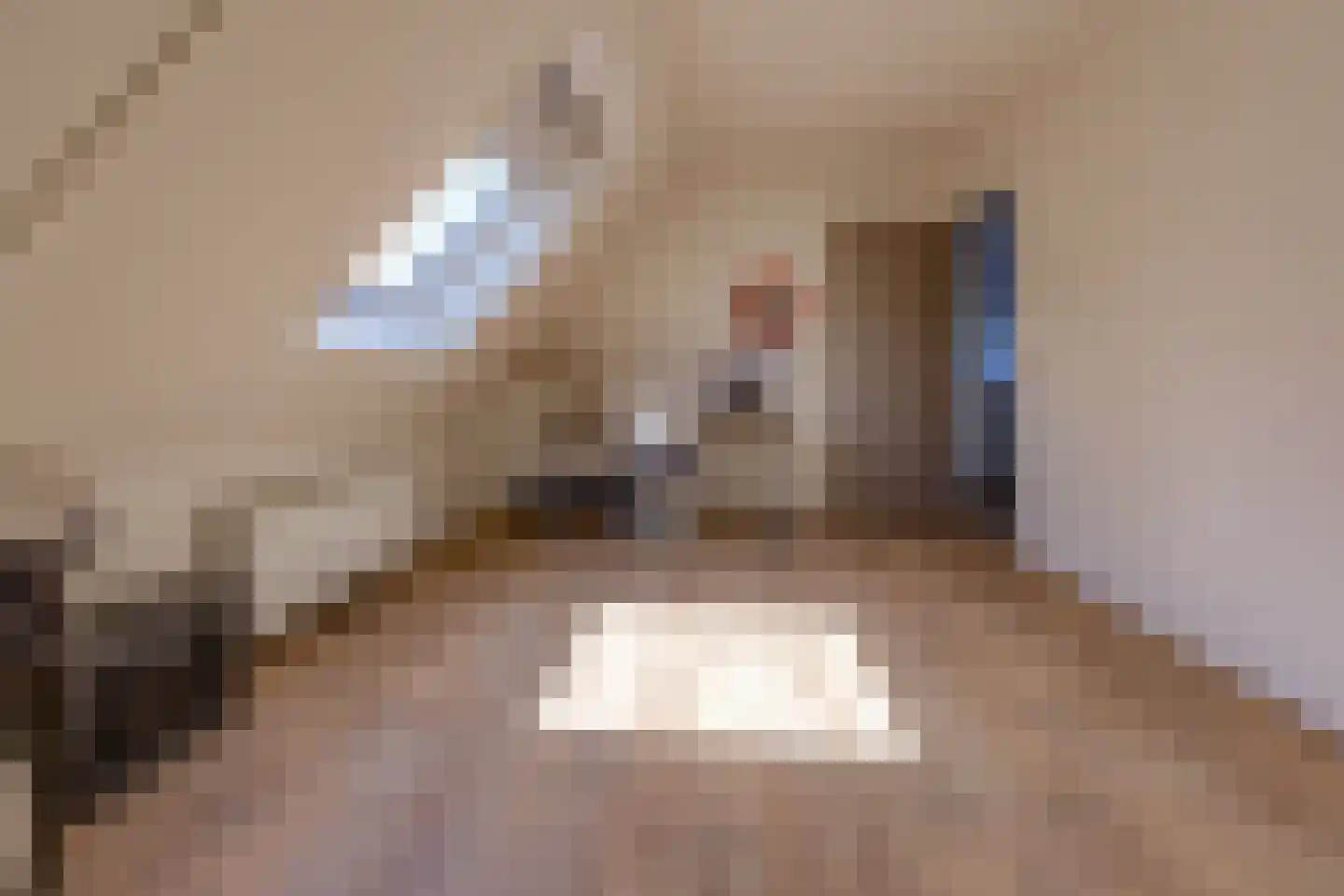 Johannes Vermeerlaan 16 Musselkanaal thumbnail 41