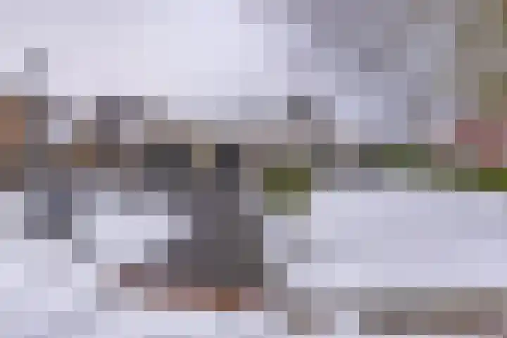 Johannes Vermeerlaan 17 A Musselkanaal thumbnail 10