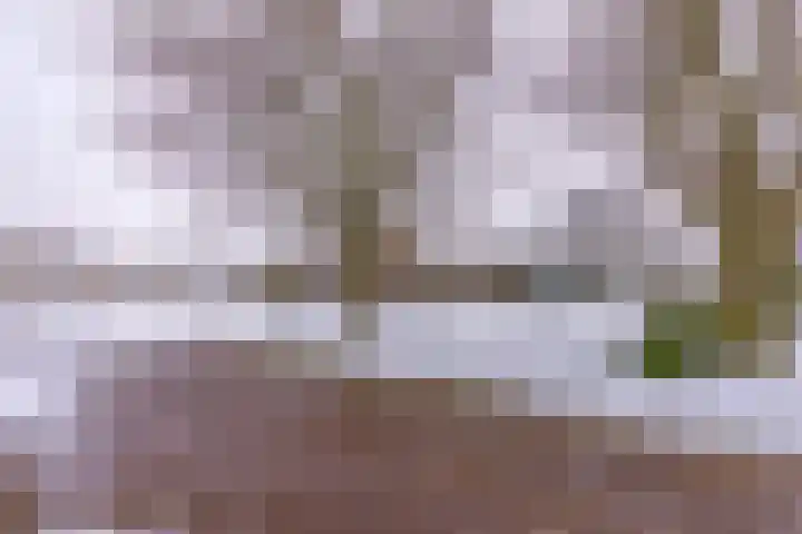 Johannes Vermeerlaan 17 A Musselkanaal thumbnail 11